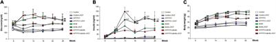 Liraglutide Reduces Vascular Damage, Neuronal Loss, and Cognitive Impairment in a Mixed Murine Model of Alzheimer’s Disease and Type 2 Diabetes